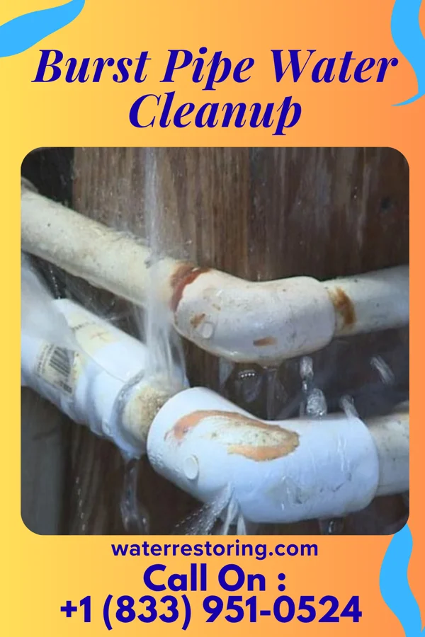Burst Pipe Water Cleanup in Foundryville, PA