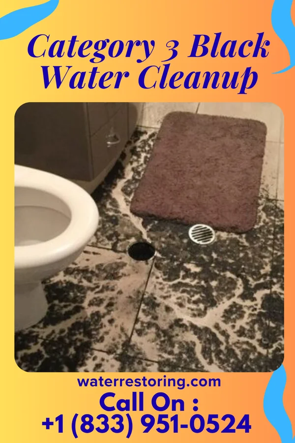 Category 3 Black Water Cleanup in Foundryville, PA