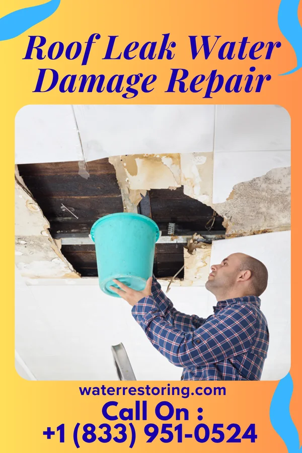 Roof Leak Water Damage Repair in Foundryville, PA