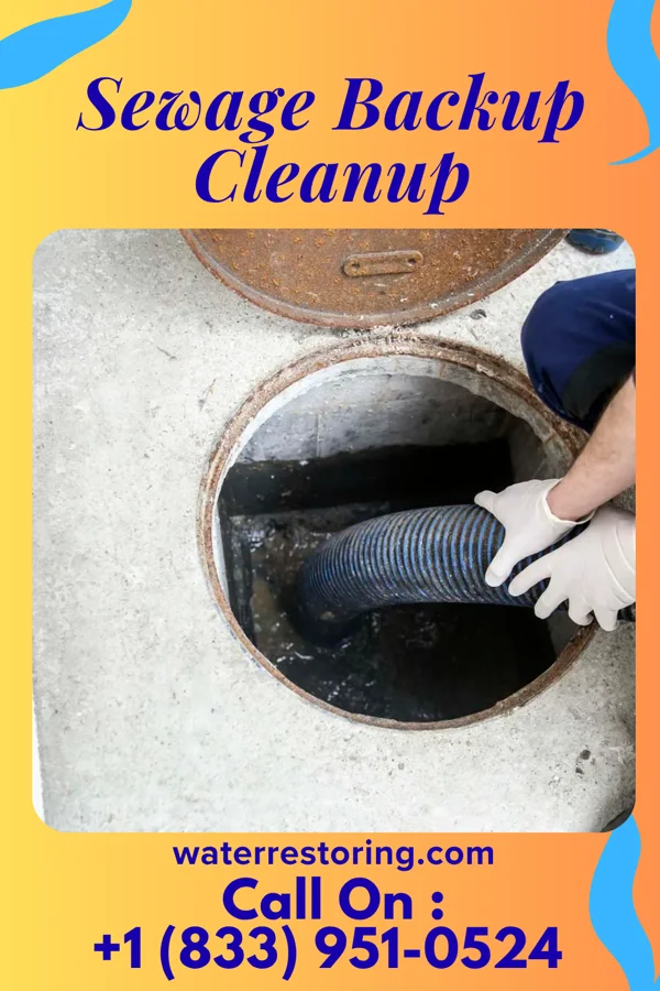 Sewage Backup Cleanup in Foundryville, PA