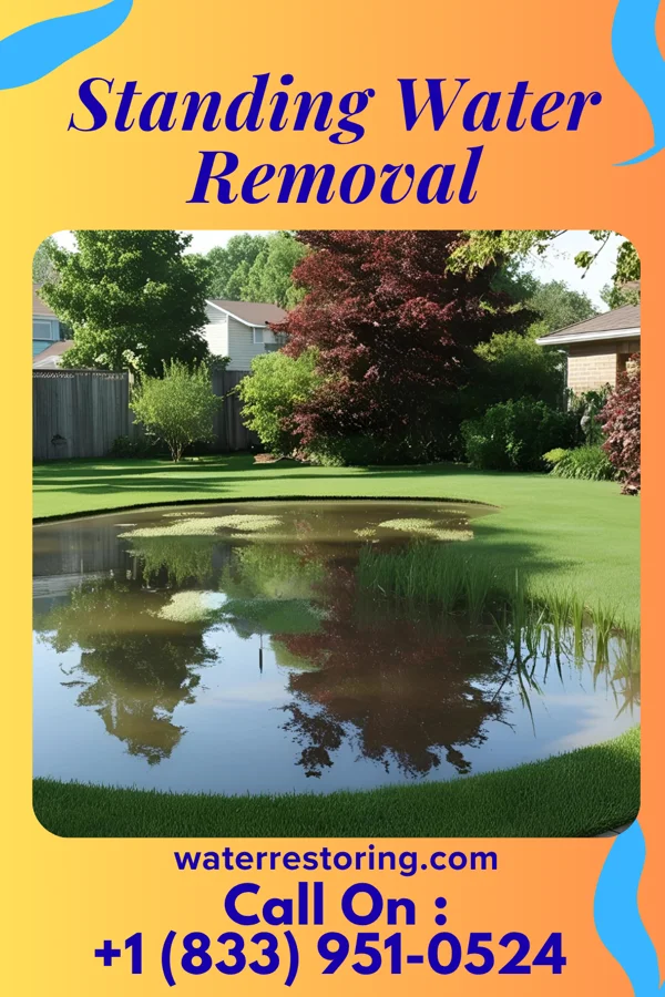 Standing Water Removal in Foundryville, PA